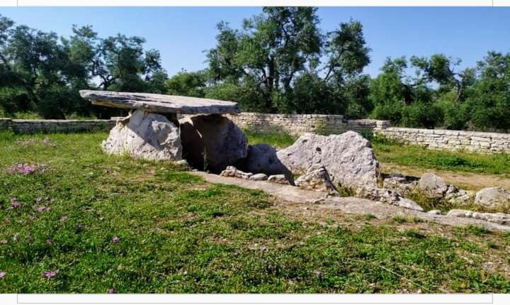 ביצ'לייה Amaste In Puglia Casa Vacanza מראה חיצוני תמונה
